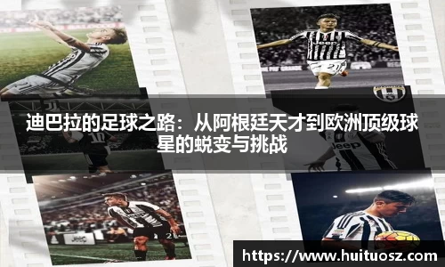 mk体育(MKsports集团)股份公司