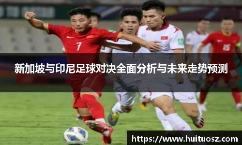 新加坡与印尼足球对决全面分析与未来走势预测